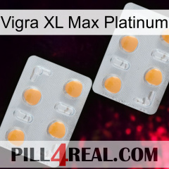 Vigra Xl Max Platinum 25